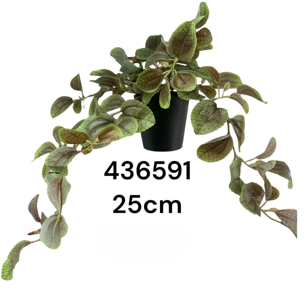 PLANTA DECORATIVA PEQUEÑA PERILLA REF:CH06730286 25CM