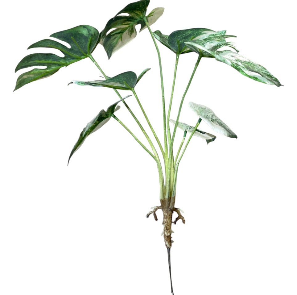 PLANTA HOJA TORTUGA ARTF. 35CM