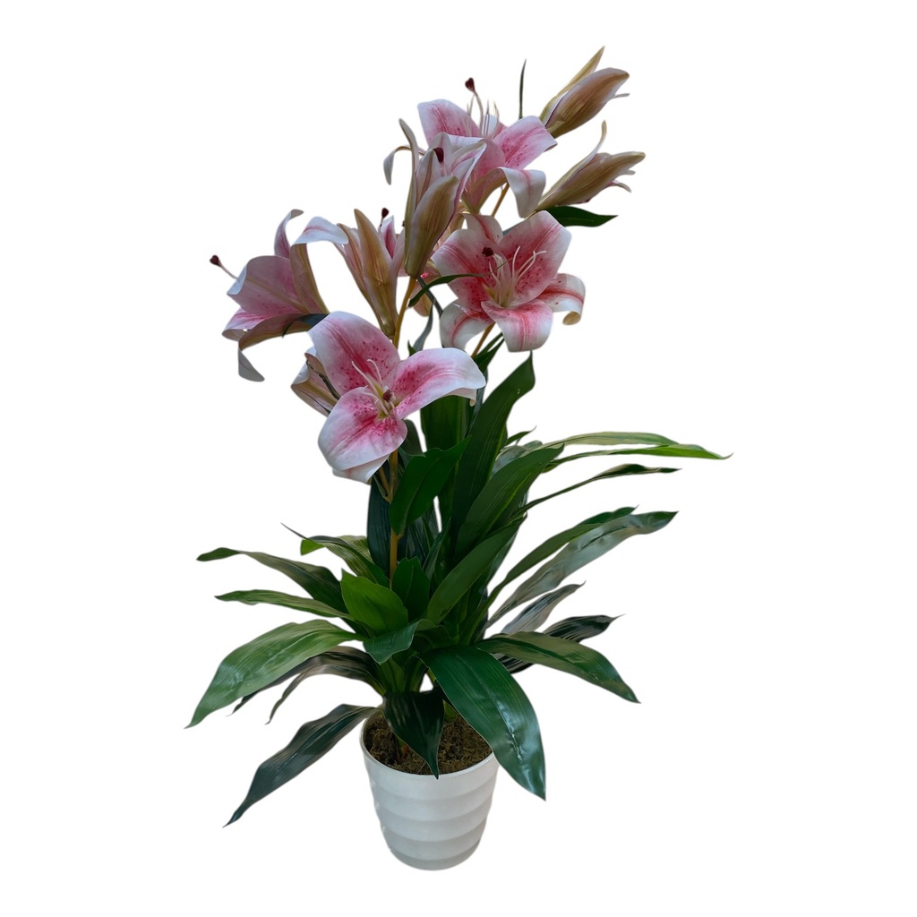 PLANTA LIRIO ROSA CON MACETA 90CM