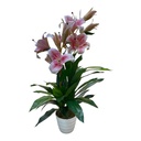 PLANTA LIRIO ROSA CON MACETA 90CM