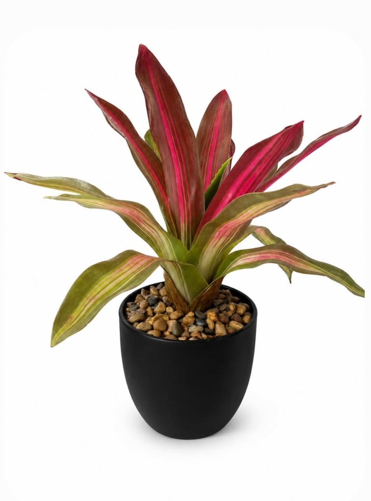 PLANTA NEORGELIA ARTF. 30CM