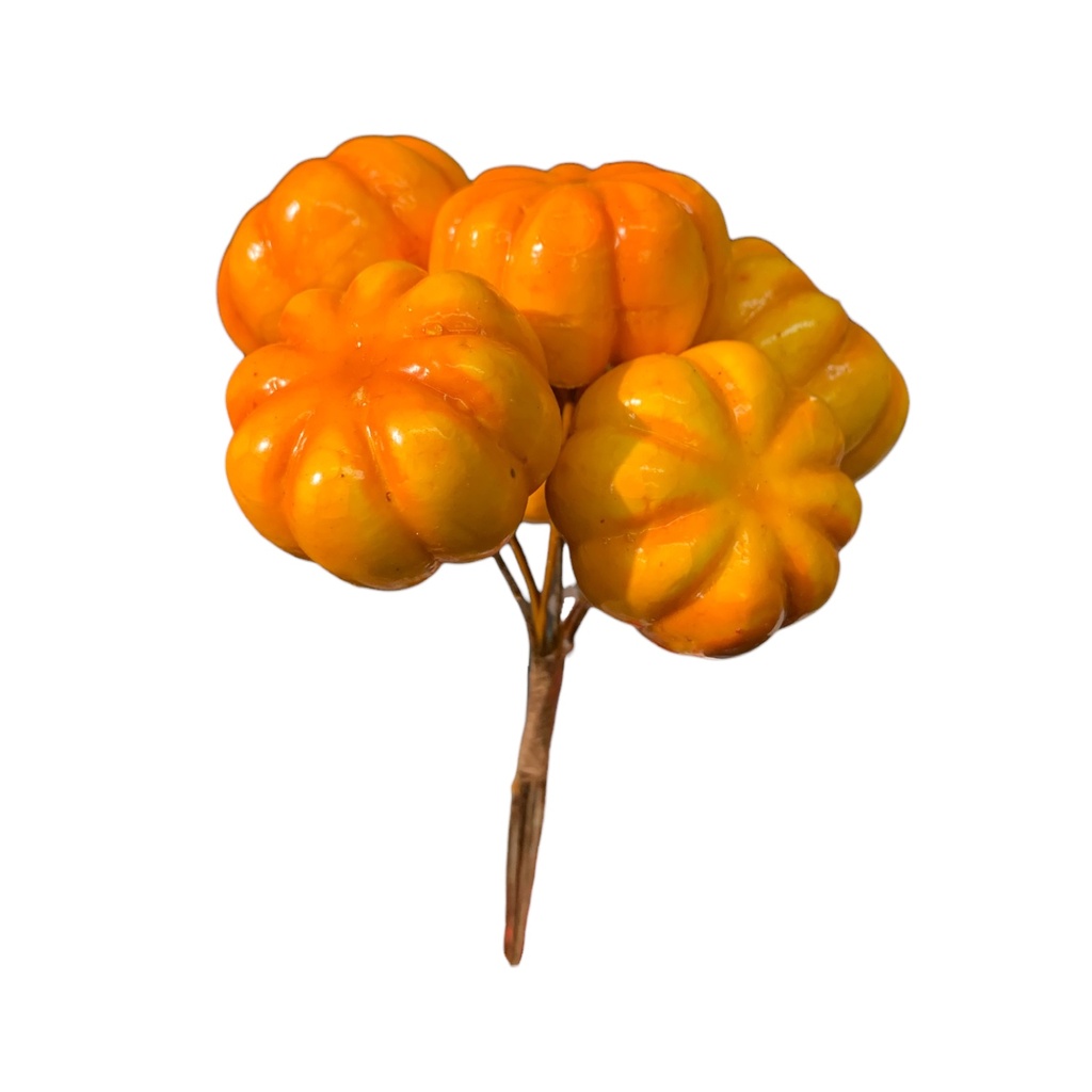 RAMO DE CALABAZAS SETX6 13CM