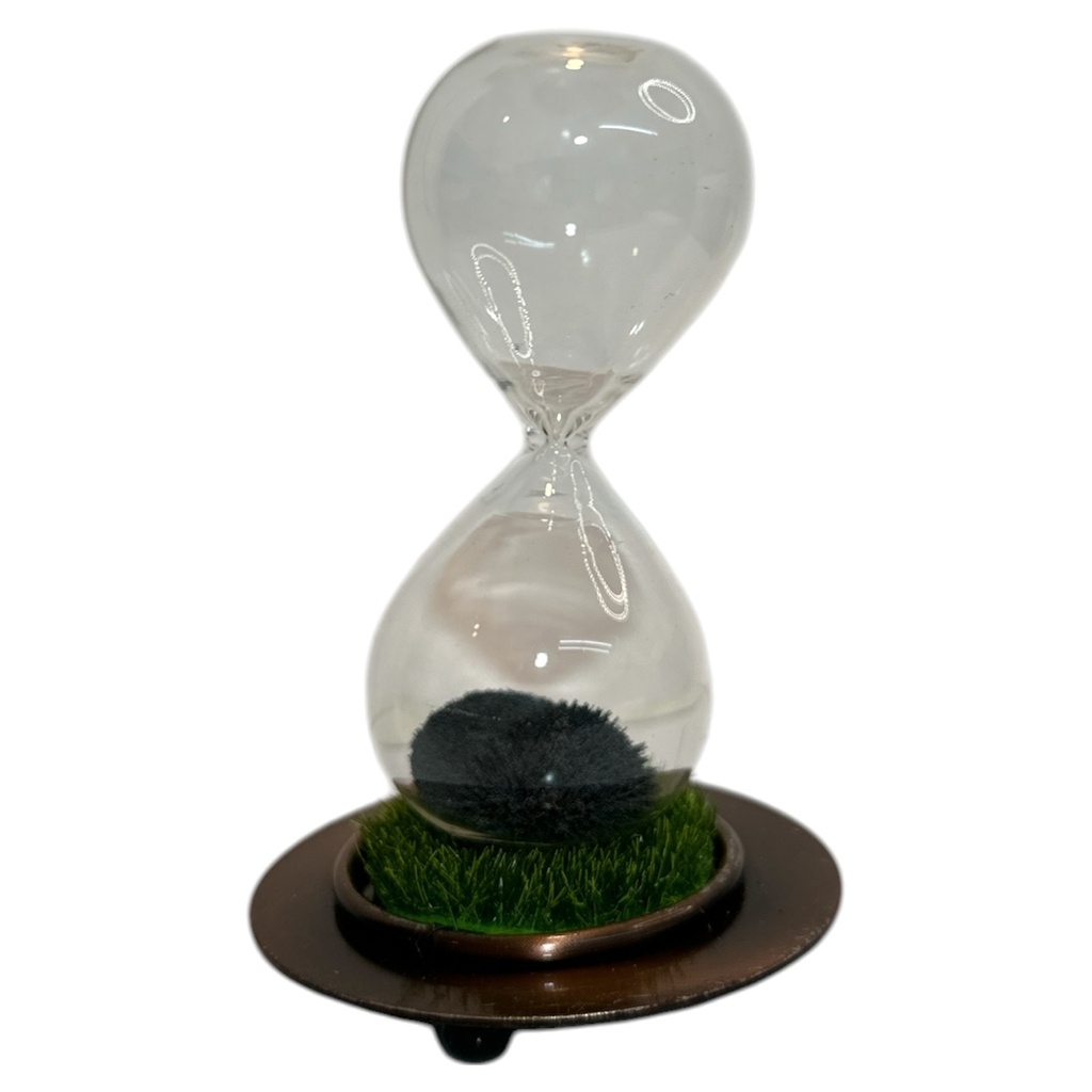 RELOJ DE ARENA 20SEGUNDOS 12CM