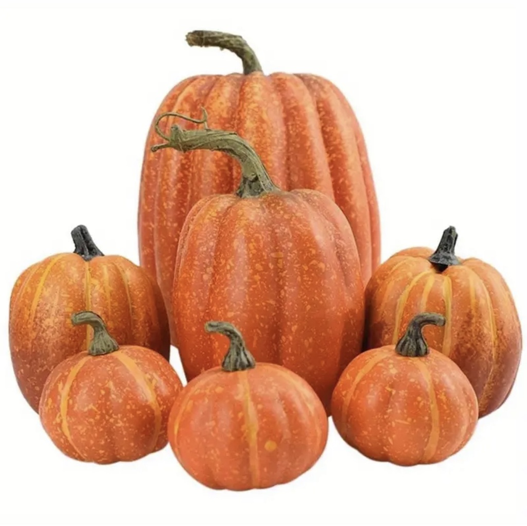 SET X7 DE CALABAZAS