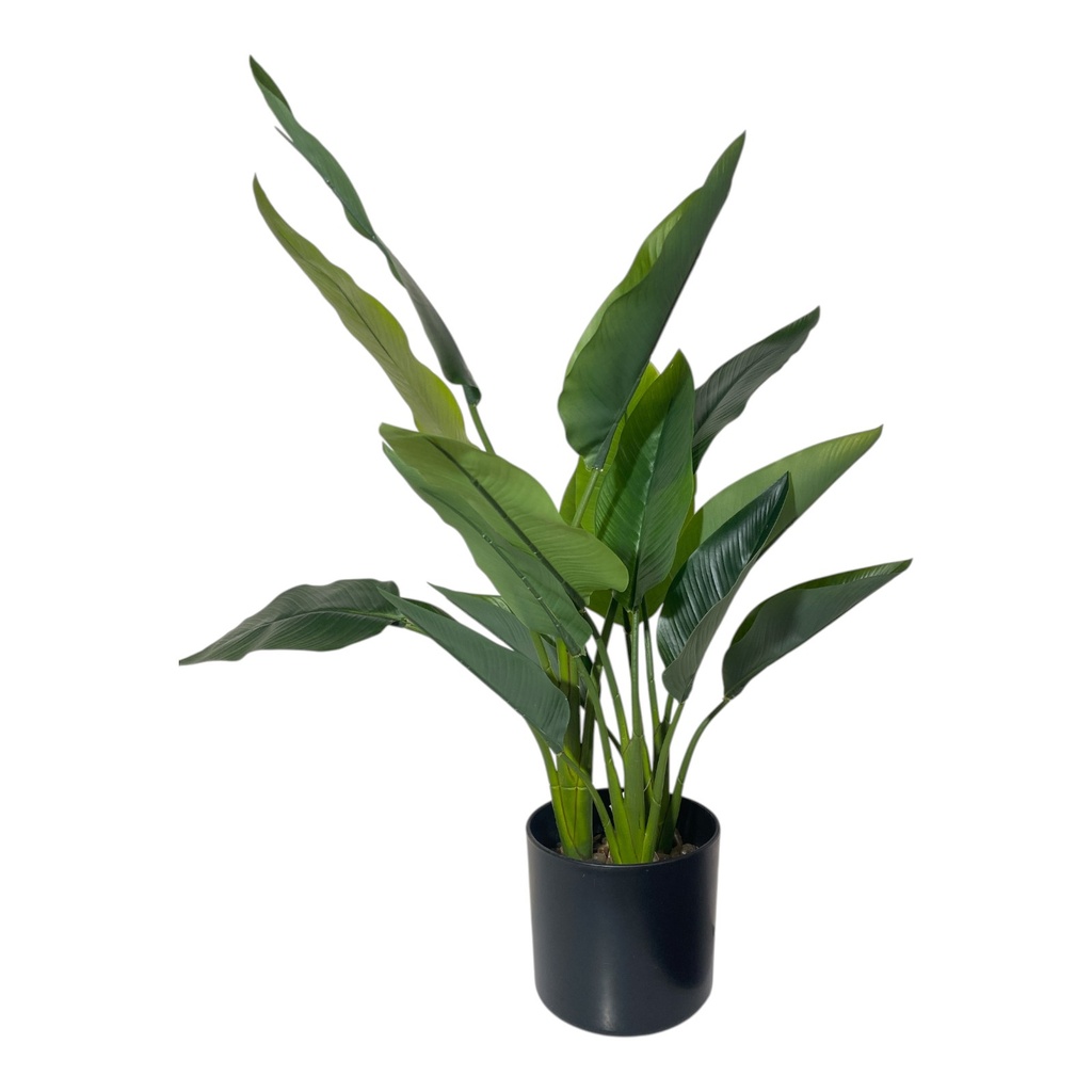 STRELITZIA, AVE DEL PARAISO CH10832913 70X20CM