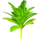 SUCULENTA ARTIFICIAL 11CM