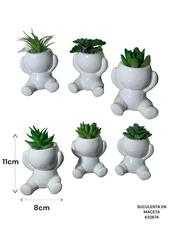 SUCULENTA EN MACETA ES22740 7.5X6.5X11CM