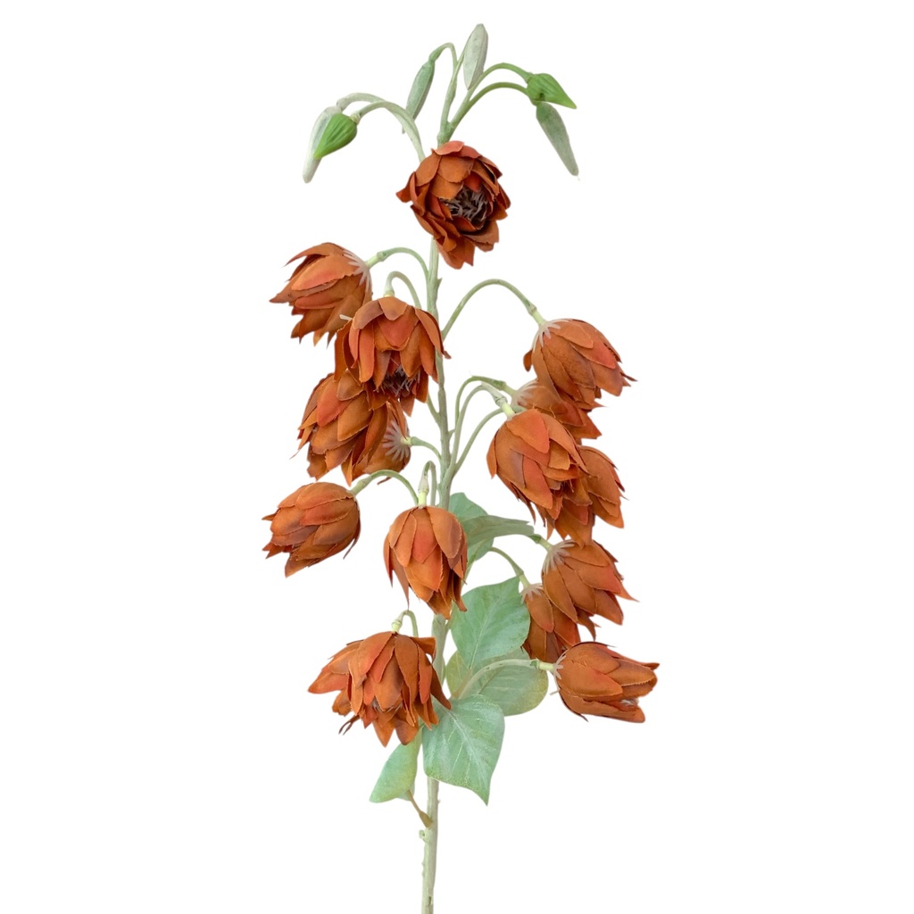 SC6051 RAMA BOTONES 85CM