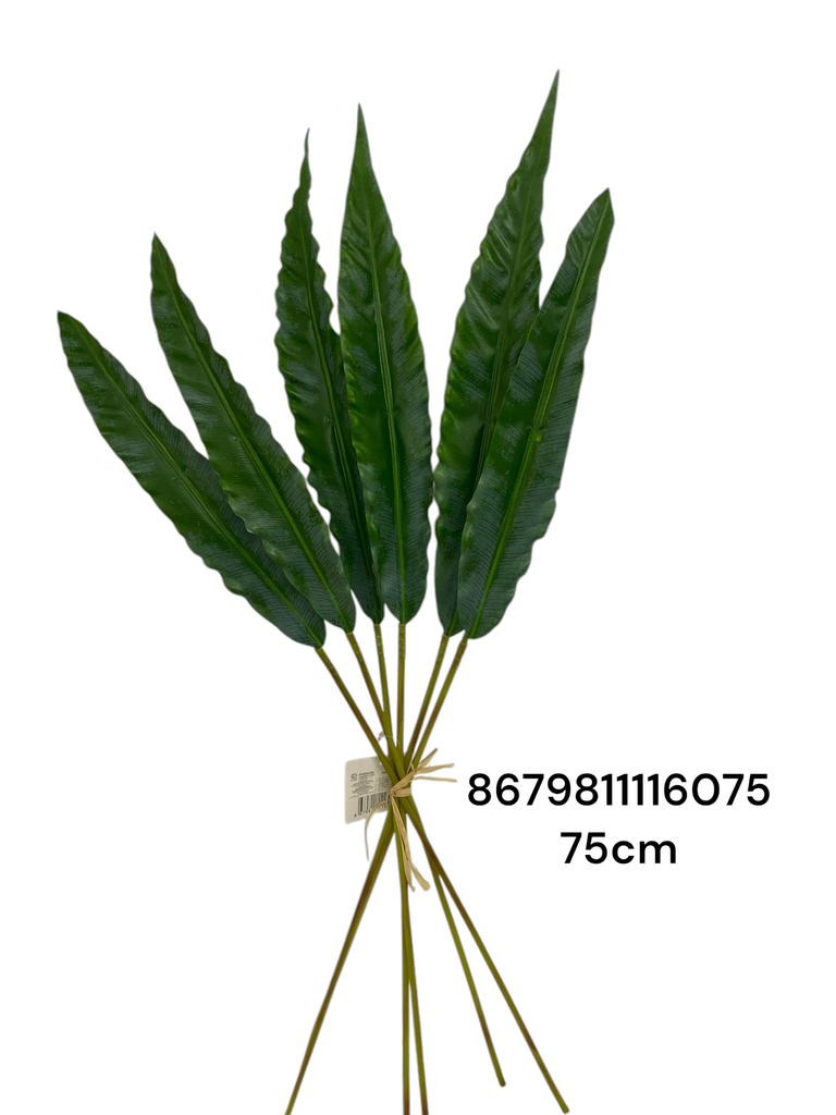 HOJA  LARGA ARTF. SETX6