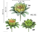 SUCULENTA 10CM