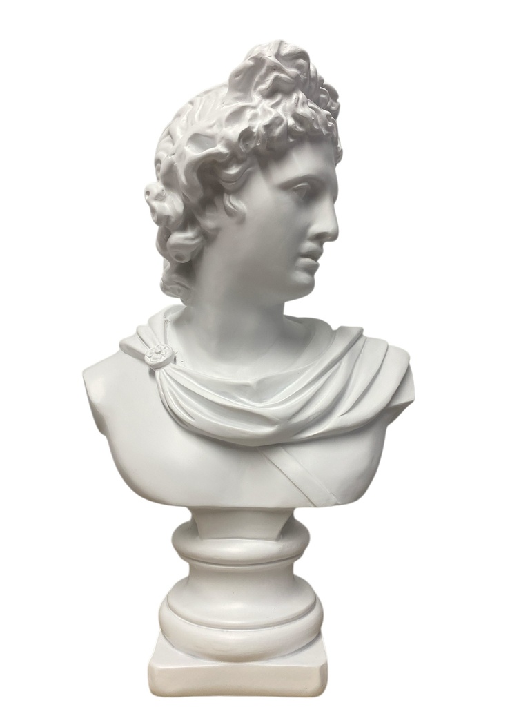 FI-2025-1119 BUSTO DAVID POLIRESINA 20X11X30CM