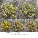 ALIENTO DE BEBE 34CM 150-FLORES