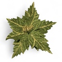 FLOR NAVIDEÑA VERDE TERCIOPELO, REF:SF-251272 28X25CM