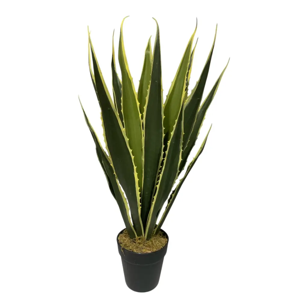 PLANTA YUCCA 70CM CON MACETA