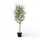 PLANTA DE OLIVO 150CM CON MACETA