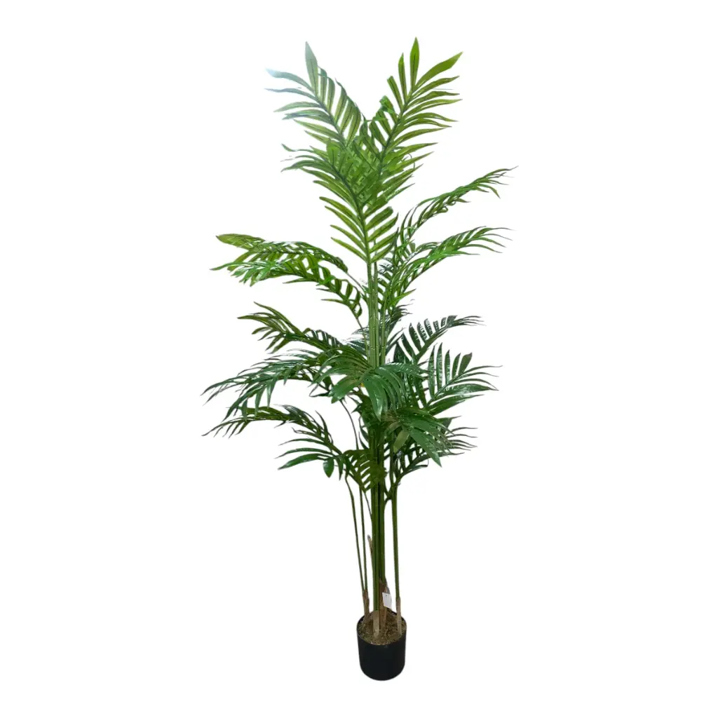PALMA 190CM CON MACETA