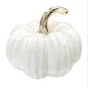 CALABAZA DE PORCELANA 18X18X13CM
