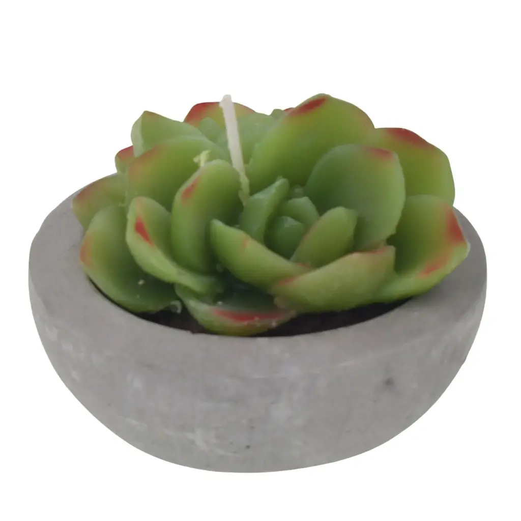 VELA DECORATIVA CACTUS REF:ES28013 8X7CM   