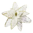 FLOR NAVIDEÑA BEIGE FILO DORADO Ø52CM