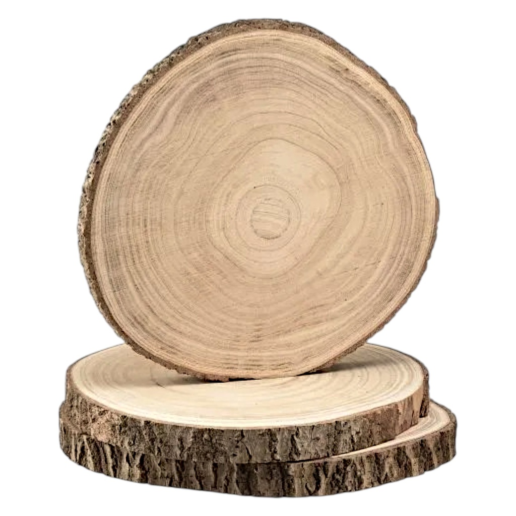 BANDEJA O BASE DE MADERA TRONCO 29X29X2CM