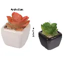 SUCULENTA ARTF. EN MACETA REF:ES22714 5X7CM