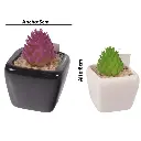 SUCULENTA ARTF. EN MACETA CERAMICA REF:ES22713 5X8CM  