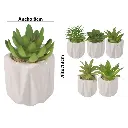 SUCULENTA ARTF. EN MACETA CERAMICA REF:ES22771 8X13CM 