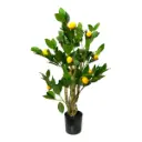PLANTA DE LIMON ARTF. CON MACETA 80CM Ø60CM
