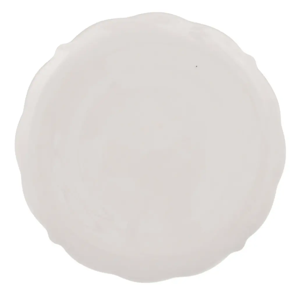 PLATO AMPLIO DE PORCELANA BLANCA 30CM REF:XHP41076