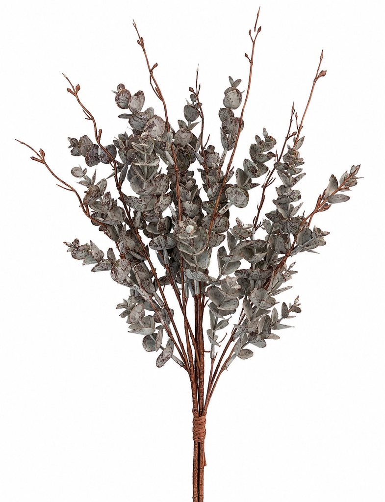 Rama de eucalipto artificial estilo preservado 65cm