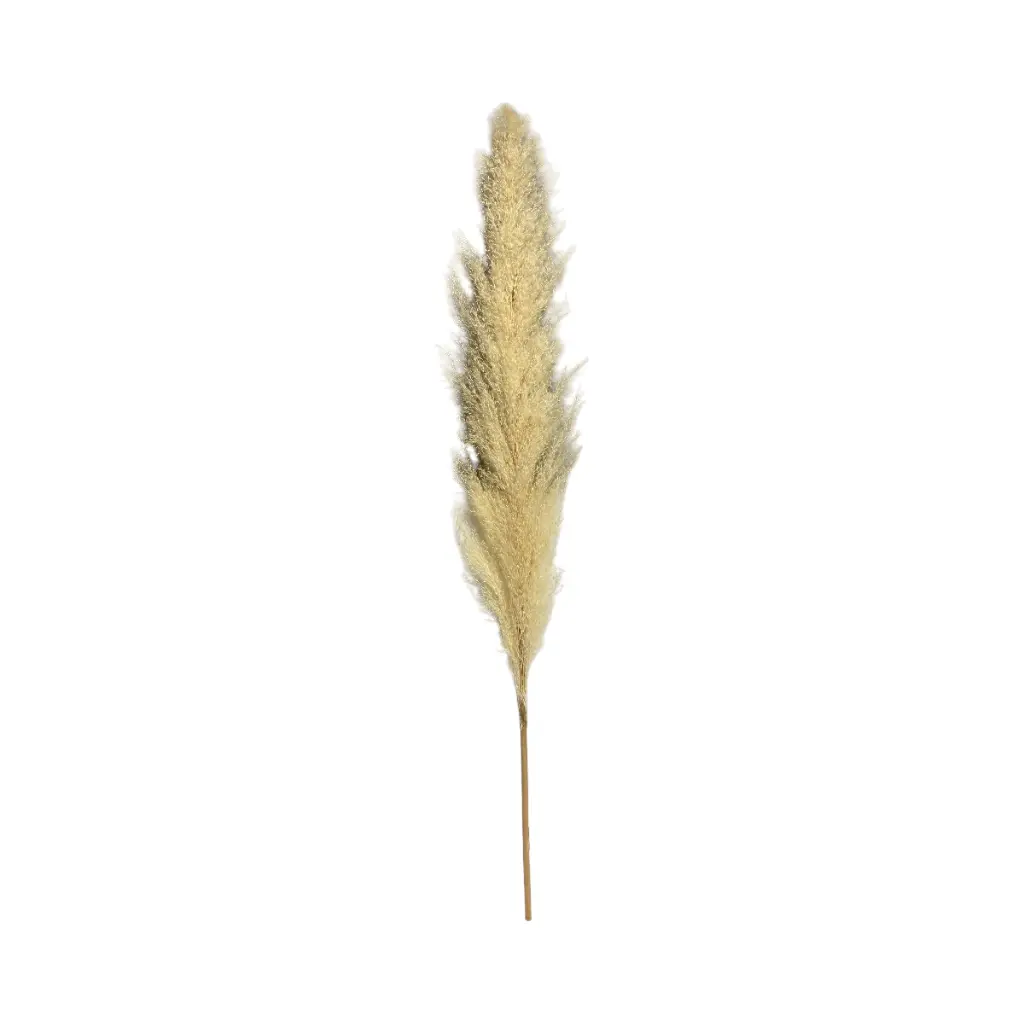 PAMPA BEIGE LARGA ARTIFICIAL 90CM 