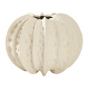 FLORERO CERAMICA BLANCO/BEIGE REF:HM1733/GDZ23X360 19X15CM 
