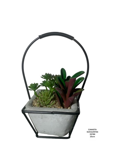 [20786] ARREGLO CACTUS EN CANASTA 23CM