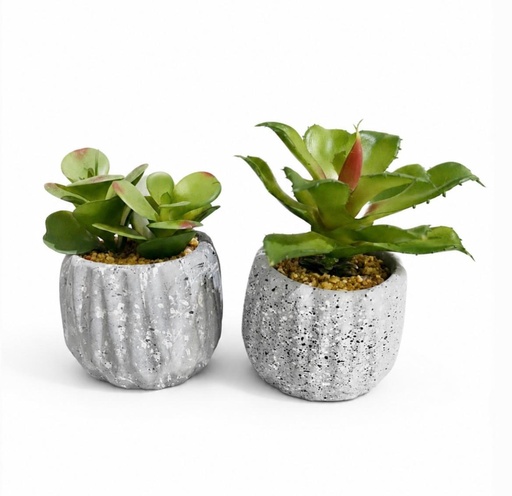 [20785] CACTUS CON MACETA 21CM