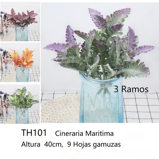 [TH101] CINERIA MARITIMA 40CM, 9HOJAS GAMUZA