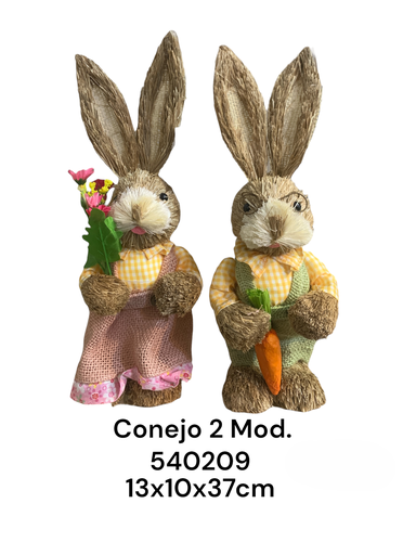 [8679833540209] CONEJO PASCUA 13X10X37CM
