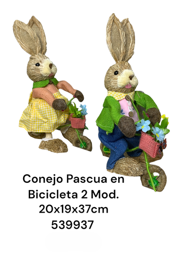 [8679833539937] CONEJO PASCUA EN BICICLETA 2MOD. 20X19X37CM