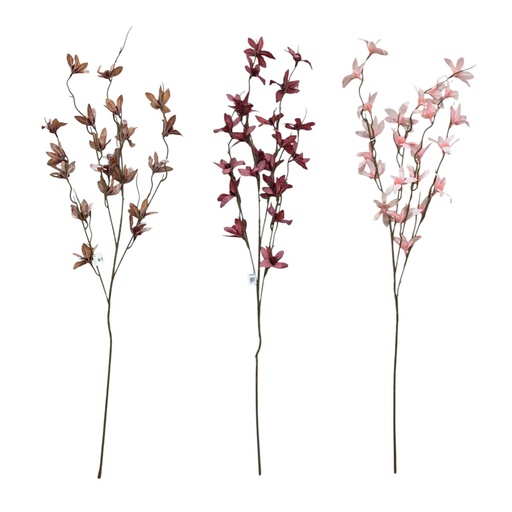 [MY114] CYMBIDIUM DE 21Fx100CM