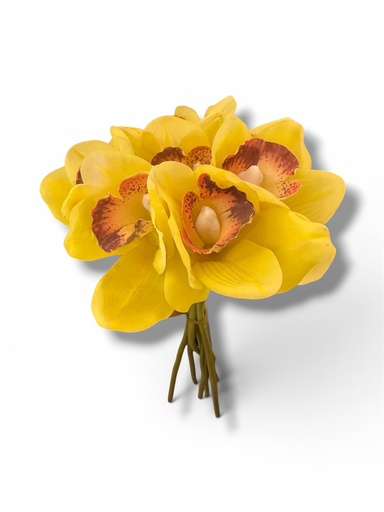 [MY059] CYMBIDIUM DE LATEX x7 32CM