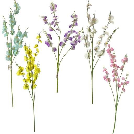 [YS3203] ESPIGA LARGA ONCIDIUM