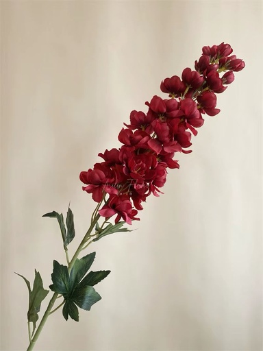[8679811119533] ESPIGA MATTHIOLA 100CM