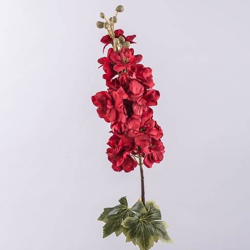 [B010] ESPUELA DE CABALLERO 80CM