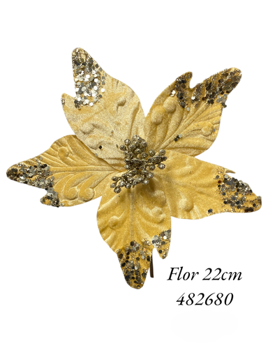 [482680] FLOR NAV. REF: ZHX-2023034