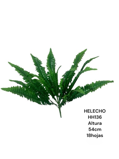 [HH136] HELECHO MEDIANO 55CM 18HOJAS