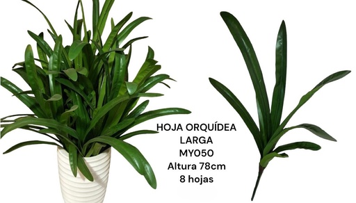 [MY050] HOJA DE ORQUIDEA LARGA 80CMX8H