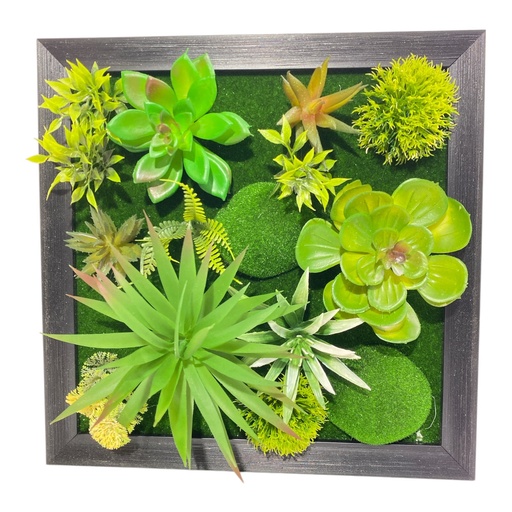 [20380] JARDIN CACTUS PARED CUADRO 30X30CM