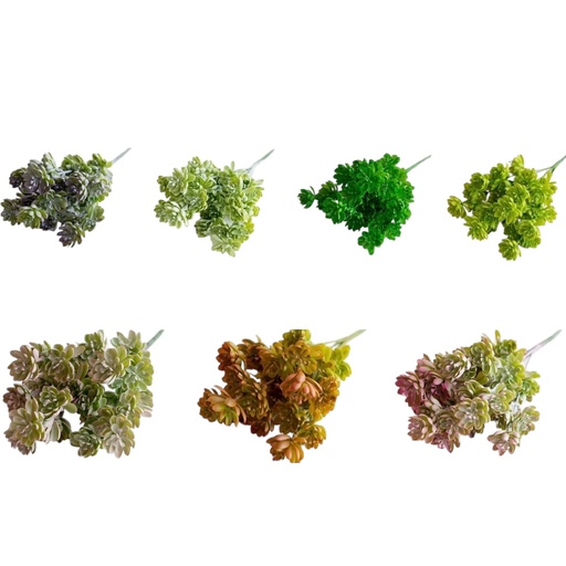 [HH71] LOTOS 31CM X35L