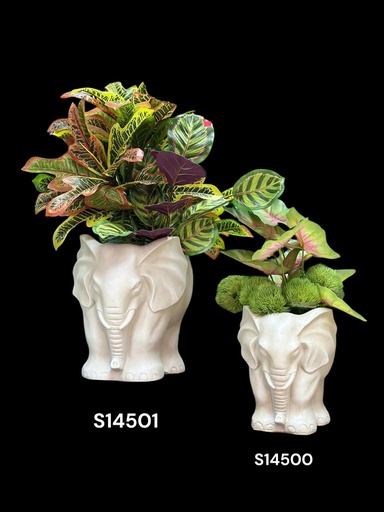 [S14501] MACETERO ELEFANTE FIBRA MINERAL 39X30X35CM