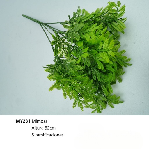 [MY231] MIMOSA HELECHO PATA DE CONEJO 32CM, 5RAMAS