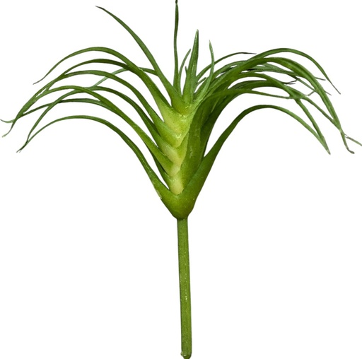 [8679811116761] MINI SAVILA SUCULENTA ARTF. 10CM